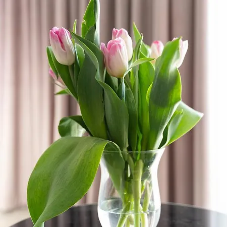 Apartment Klw Flower Kamienica Nova 3 Szczecin